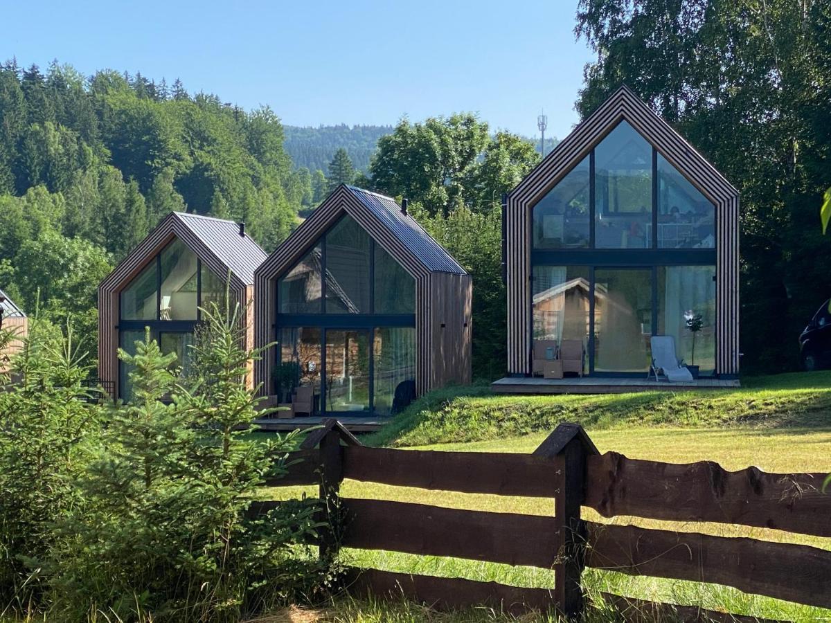 Domki Pod Lasem - Domek Sosnowy Stronie Slaskie Exterior photo